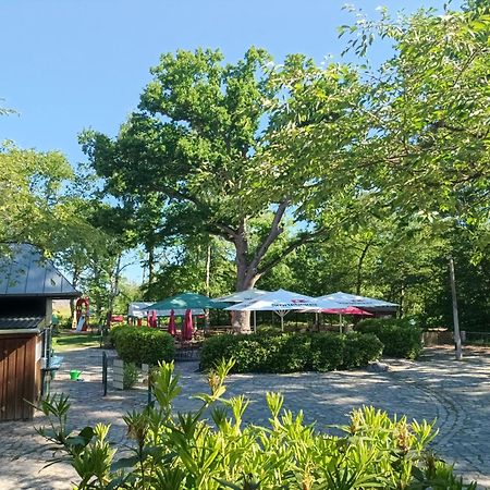 Hotel Schloesschen Sundische Wiese Цингст Екстериор снимка